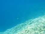20100712-2.jpg