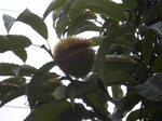 IMGP3463.JPG