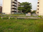 20110610-3.JPG