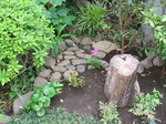 20110611-3.jpgのサムネール画像